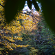 Illustration for article titled Fall Photos 2